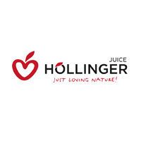 logo_Hollinger